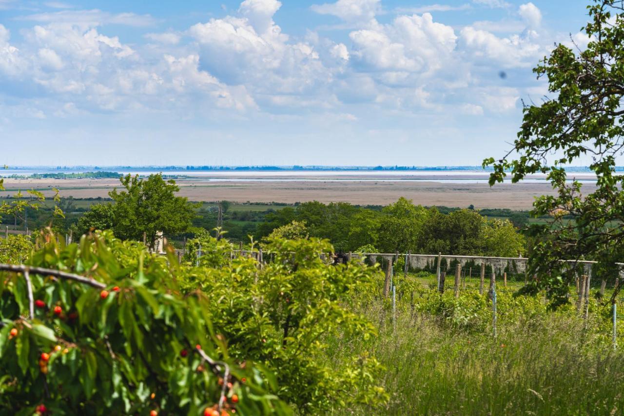 Villa Kőfejtő háza Fertőrákos Esterno foto